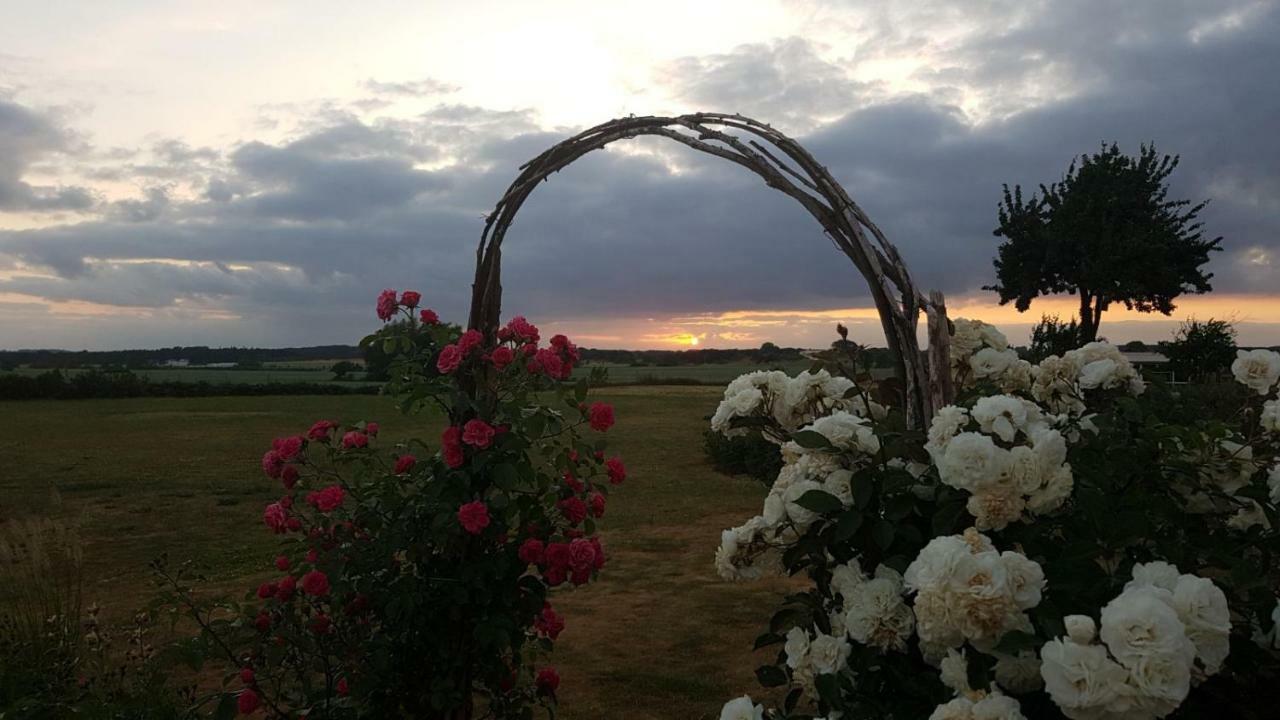 Ferienwohnung "Am Gruen" Zweedorf Eksteriør billede